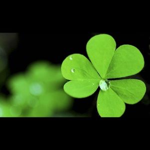 Meet your Posher, Hoàng